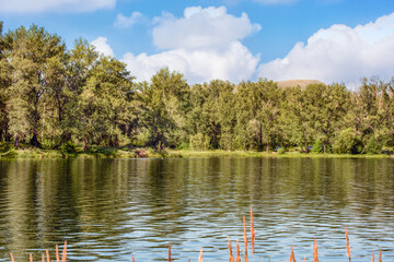 A beautiful landscape of the river surrounded by trees on a sunny summer day under blue sky.