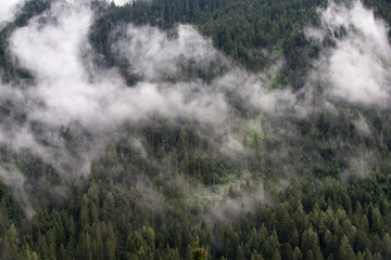 delle nuvole basse sul bosco dopo un forte temporale in montagna