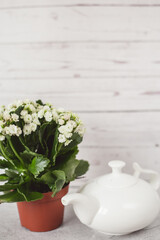 teapot and flowers on a gray background. Empty space for text. Vintage white porcelain teapot and cup on a gray board	