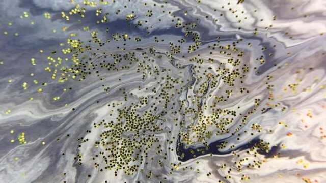 Artistic Water Painting Flow. Modern Fluid Artwork. Liquid Shine Trendy Golden Glitter Sparkles. Abstract Artwork Wallpaper. Luid Fluid Canvas Paint Flow. White Paint and Golden Glitter Sparkles.