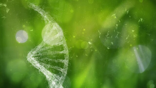 Nature bokeh cyberspace with dna cell rotation. Concept crime investigation proof searching.