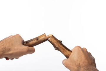 Hands breaking a twig, isolated on white background. Snap in half a dried stick for fire preparation
