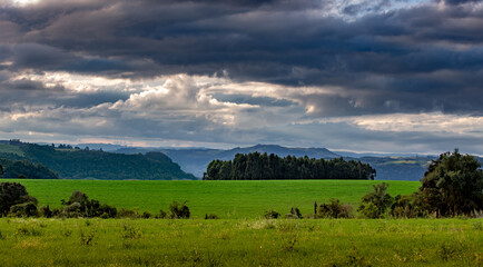 Rural landscape with green crops, mountains and gray sky in the background.