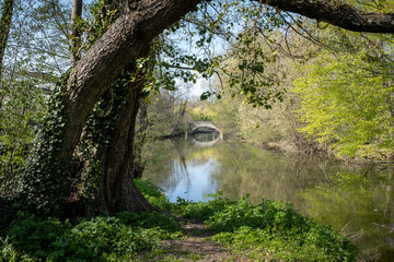 Fototapeta premium Old stone bridge on a small calm river