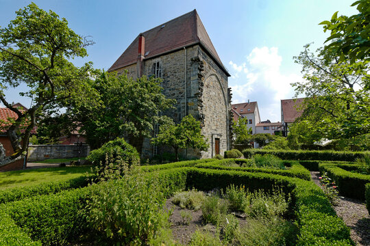 Stadthagen Klosterkirche mit Garten