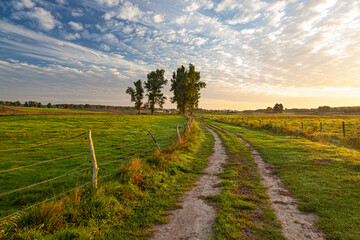 Naklejka na ściany i meble A field road between pastures and meadows at sunrise near the village of Gamerki Wielkie in Warmia and Mazury in Poland