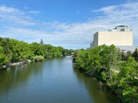 park in the city with a river during summer