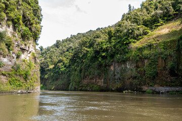 Tour on untouched Whanganui river and through surrounding jungle, New Zealand