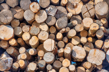 Close up view of lots of tree logs