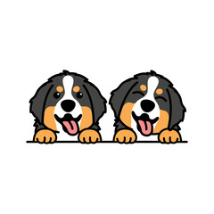 Cute bernese mountain puppy cartoon, vector illustration - obrazy, fototapety, plakaty