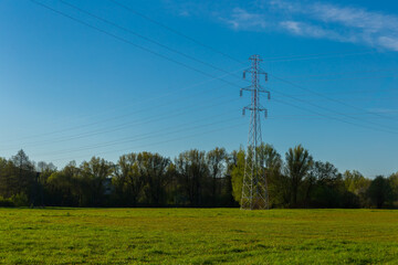 power lines in the field