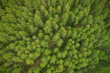 View from the top of Rhemes Notre Dame valley in Aosta Valley, Italy.