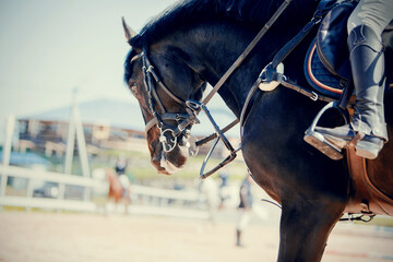 Equestrian sport. The leg of the rider in the stirrup, riding on a horse.
