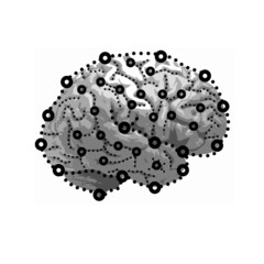 Sideview of brain with connections