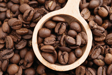 Naklejka premium コーヒー豆