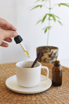 Woman pouring CBD oil in a tea infusion. Concept, medical cannabis as a supplement