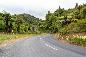 Fototapeta na wymiar Curvy street in Whanganui, New Zealand