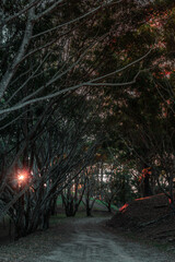 Bosques de CHALATENANGO EL SALVADOR