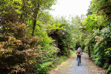 Mountain biking the Old Coach Road, New Zealand