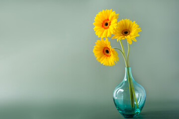 Bouquet of yellow daisy-gerbera flowers in a stylish glass vase on muted green background. Floral background with copy space.