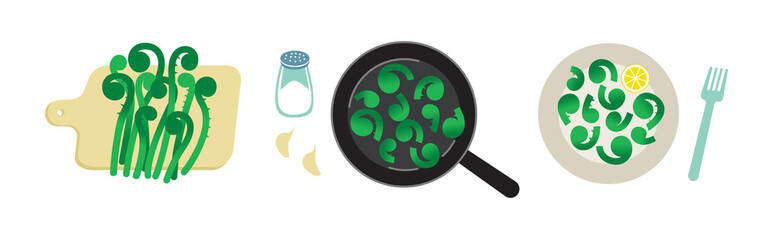 Spring fern fronds cooking process. Wild plant. Vector isolated on white.