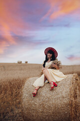 Beautfiul young woman sits on the big haystack on the field