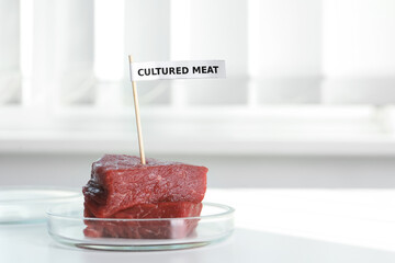 Pieces of raw cultured meat with toothpick label in Petri dish on white table indoors, space for...