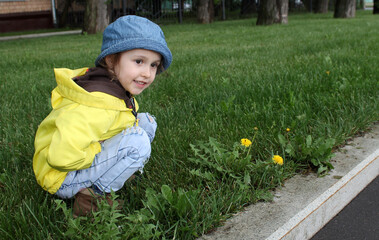 A little girl in a yellow jacket on a background of green grass, looks at a yellow dandelion. A happy and carefree childhood. The concept of well-being in families where a small child grows