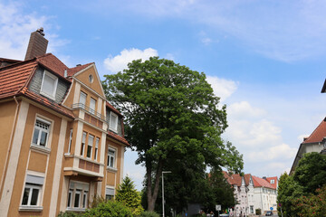 Fototapeta na wymiar Historische Fassaden im Altbauviertel im Bielefelder Westen, Bielefeld, NRW, Deutschland