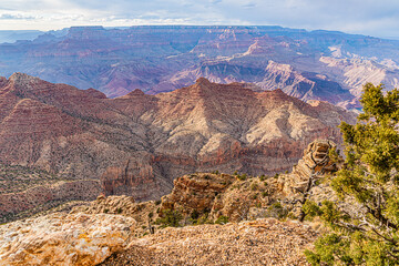 Fototapeta premium Grand Canyon National Park