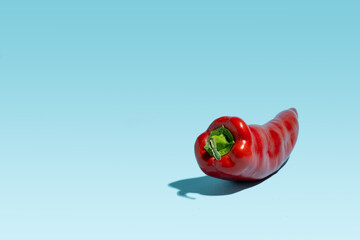 Red long pepper on pastel blue background. Creative food concept