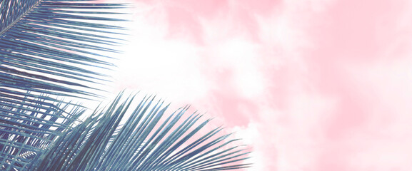 Surreal composition with leaves of tropical vegetation, palm branch in pink clouds, abstract summer...