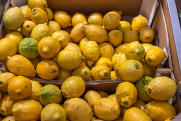 Close up view of lemons on shelf of supermarket. Sweden.