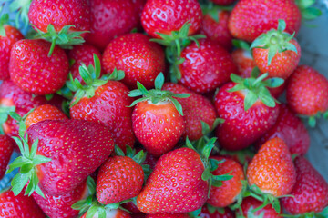 Close up macro view of red ripe strawberries isolated  on background.
