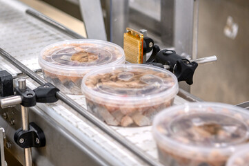 Pickled pieces of herring fillet in plastic cans on a conveyor