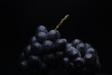 Photo of large grapes on black background.
A variety called Nagano Purple