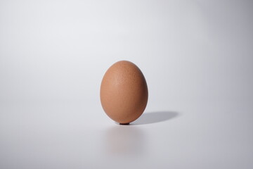 fresh egg