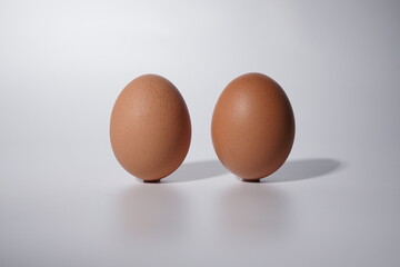 fresh egg