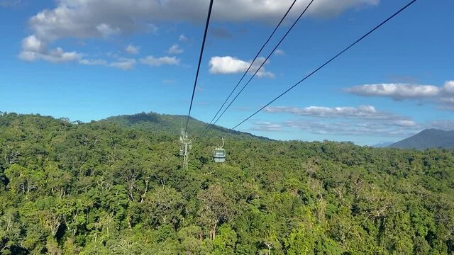 front-facing view from a cablecar, looking along the cables at the approaching cable cars, above the dense green canopy of the rain forest jungle, in tropical North Queensland