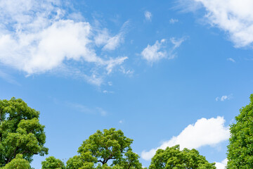 青空