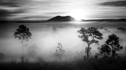 Black And White Thung Salaeng Luang National Park Beautiful green hills glowing warm sunrise,Dramatic shine silhouette tree colorful warm above mountain at Phetchabun Province,Thailand	