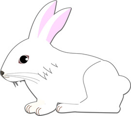 シンプルなかわいいうさぎ