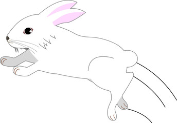 ジャンプするかわいいうさぎ