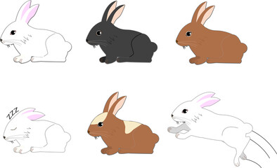 かわいいうさぎセット