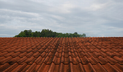 roof tiles on the roof