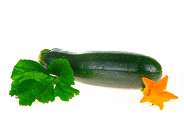 Fresh zucchini on a white background