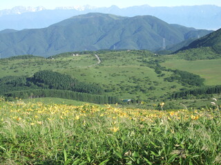 Flower fields and mountains