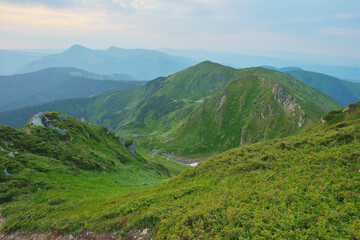 Panoramic view of summer Maramures, Carpathian mountains, Ukraine