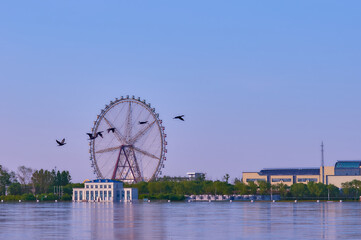 Summer view from the embankment of Blagoveshchensk during the flood period. Early morning. A flock of birds over the river. Ferris wheel and customs building on the Chinese coast.