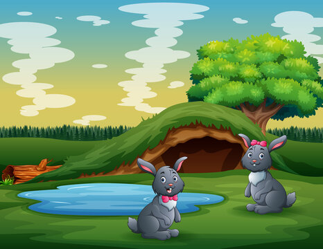 Cute two rabbits playing in the green land
